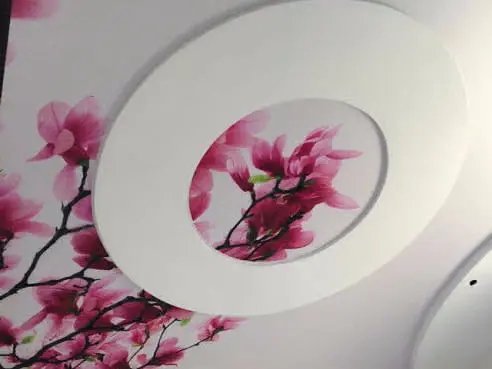 натяжные потолки с фотопечатью